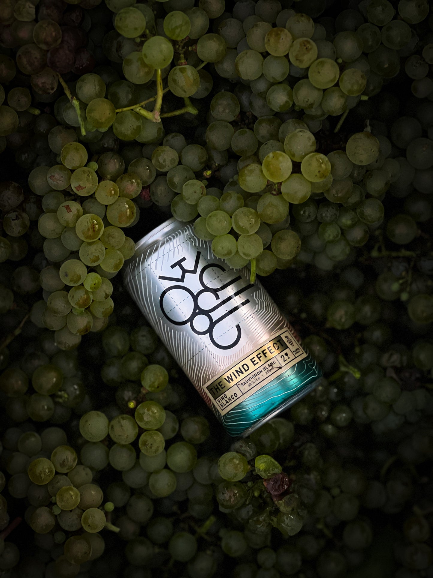 Vino Blanco 2023